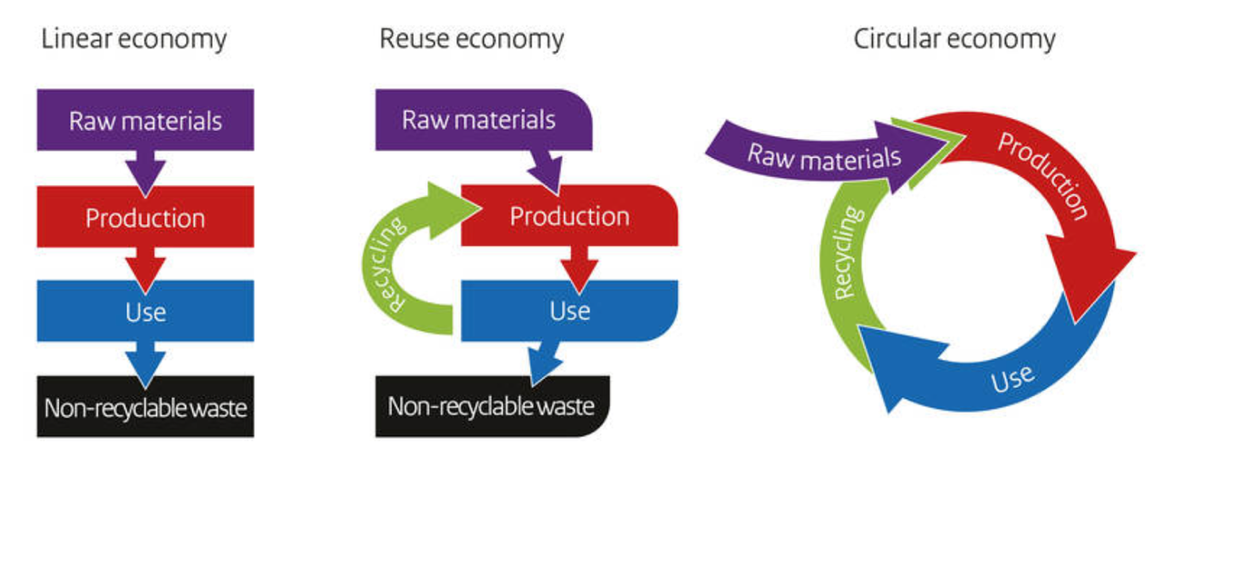 Linear economy. Circular economy. Economic principles. Circular Production это.